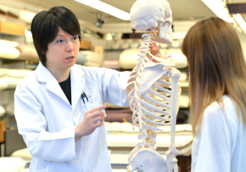 腰痛マットレスの姿勢ドクター