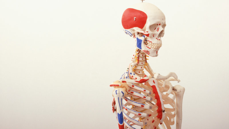 姿勢学の観点からオーダーメイド枕とベッドマットレスを作成