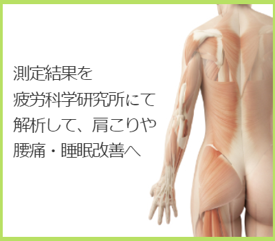 測定結果を解析し、オーダーメイド枕を作製