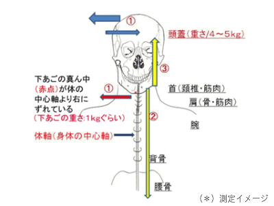 オーダーメイド枕　マットレスのオーダーメイド　大阪　睡眠改善研究室の頸椎　機械測定機