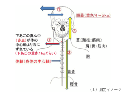 オーダーメイド枕 マットレスのオーダーメイド 大阪 睡眠改善研究室の頸椎 機械測定機