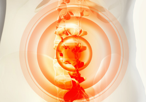 腰痛へのマットレスを姿勢ドクターが作成