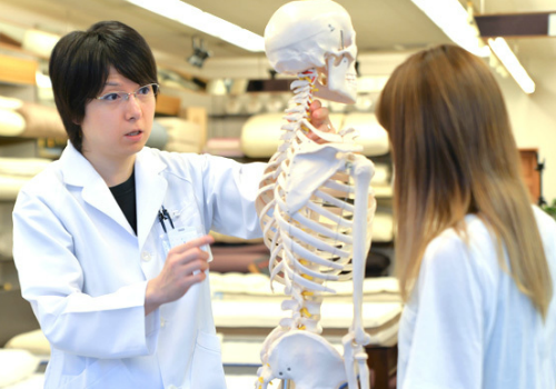 オーダーメイド枕を作る、姿勢ドクター