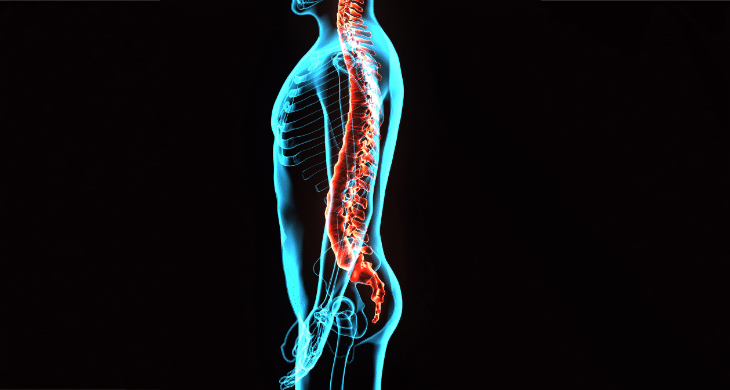 マットレス|ポイント