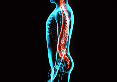 マットレスの抑えるべきポイント